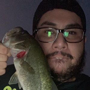 Meet your Posher, Arnoldo